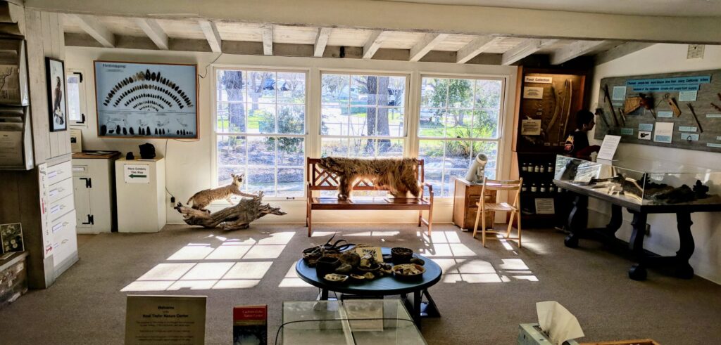 Neal Taylor Nature Center interior