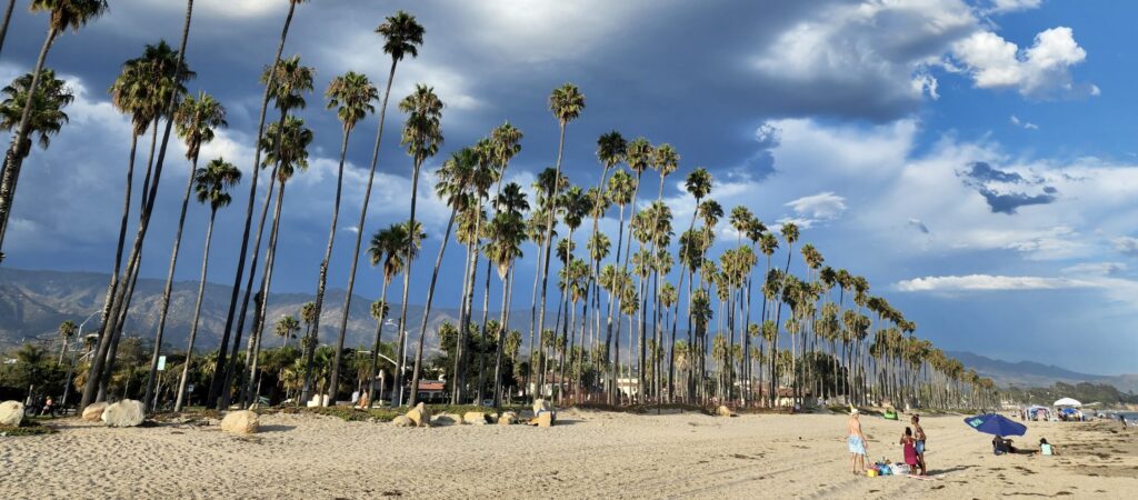 East Beach palms