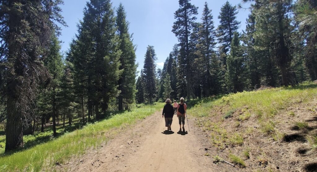 Bear Basin Trailhead