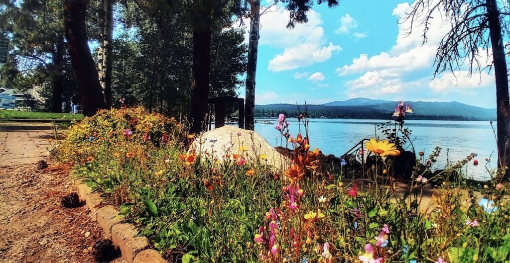 Rotary Park