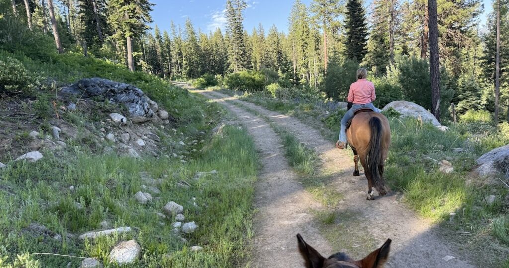 horseback rider