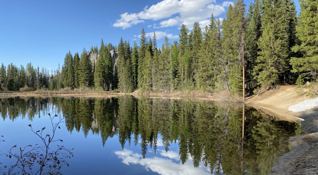 Beautiful tree lined view of Payette Lake.