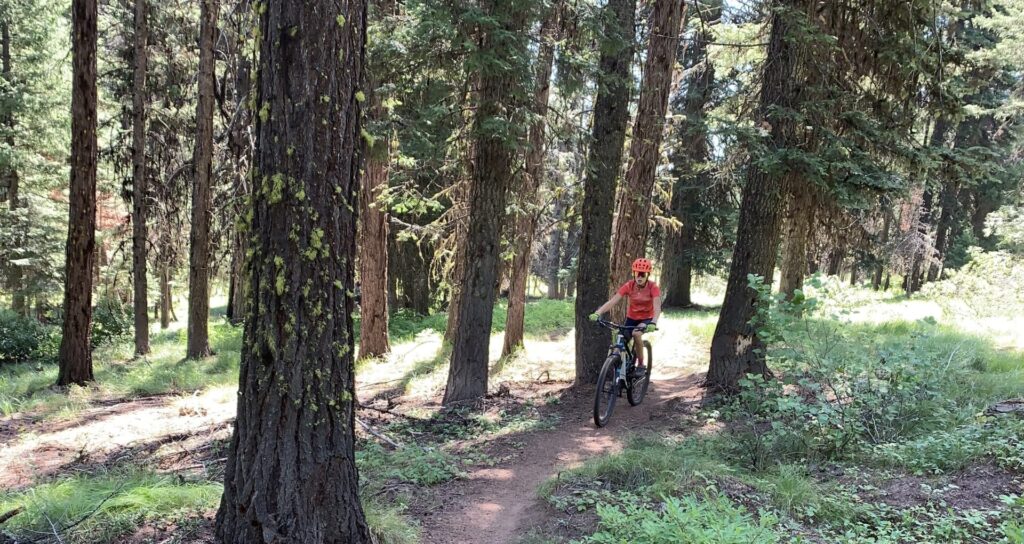 mountain biking trail.