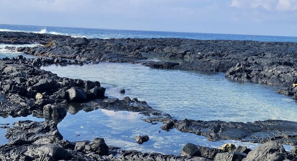 tidal pools