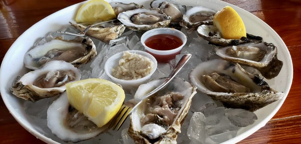 fresh oysters