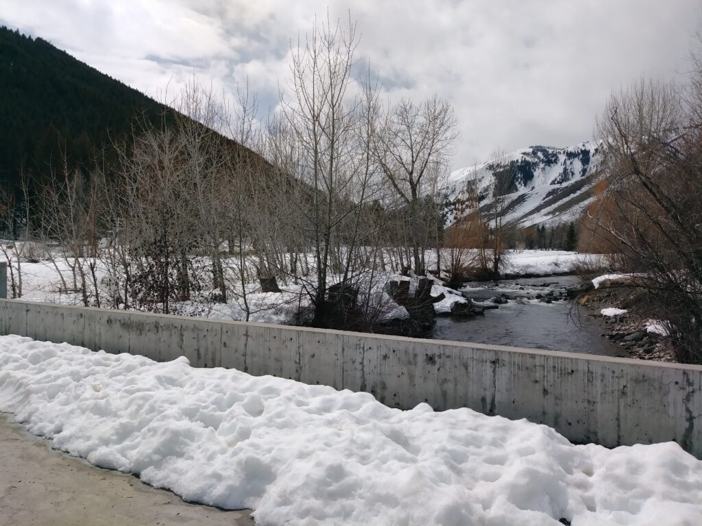 Warm Springs Preserve covered in snow