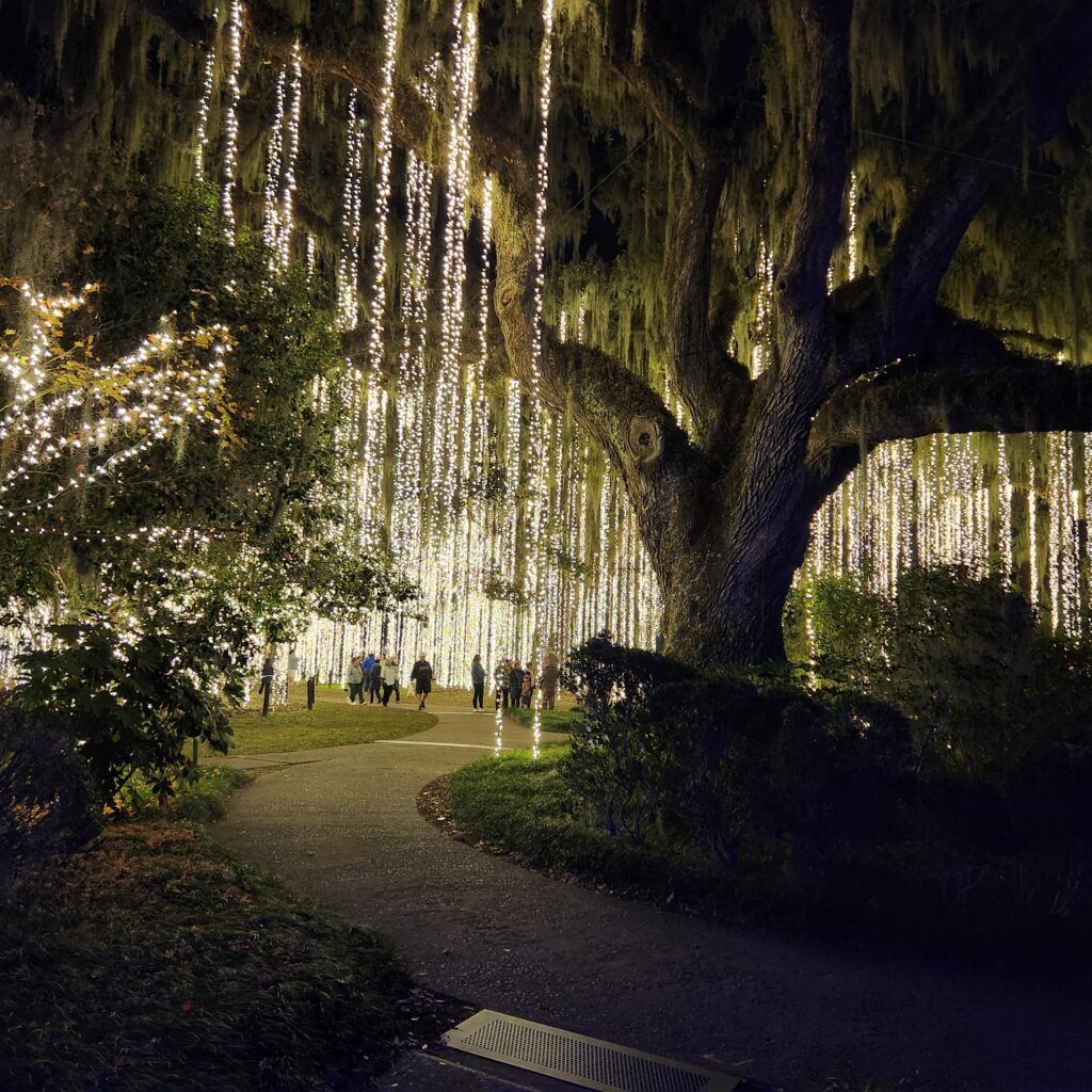 gardens at night