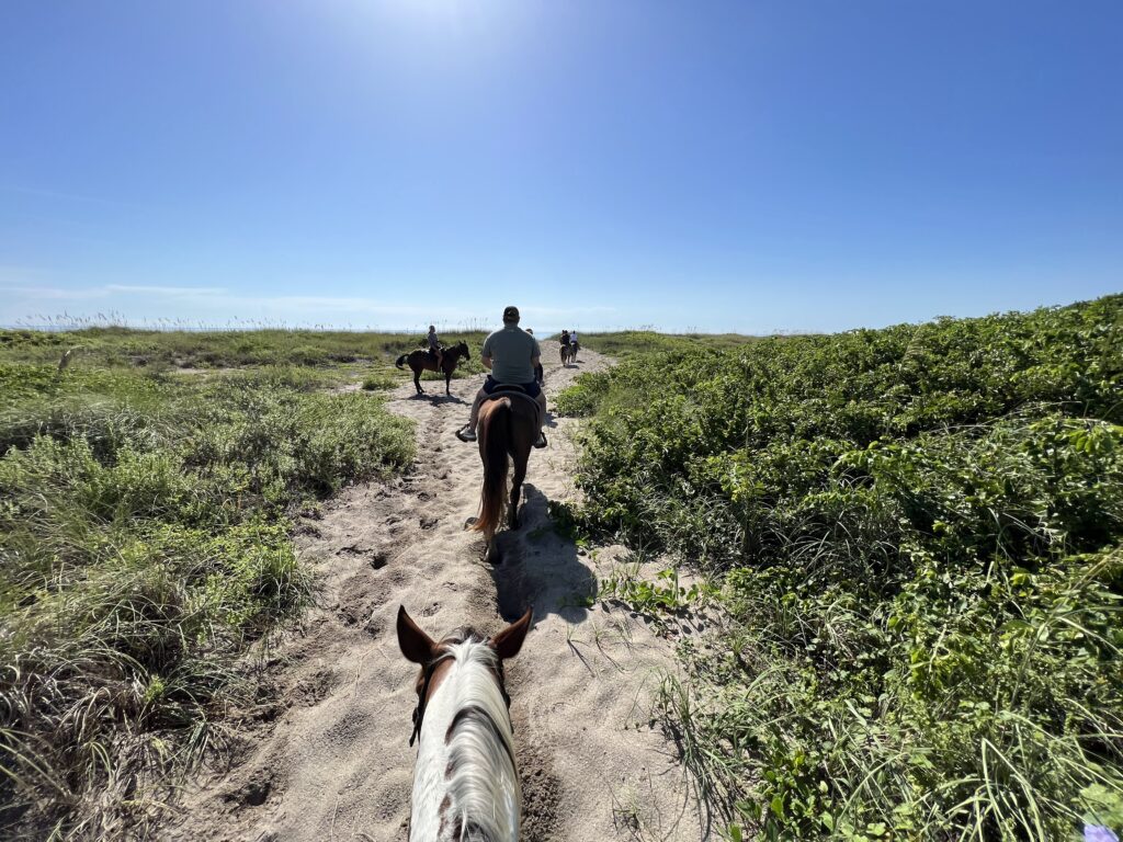 trail ride at Tours on Horseback