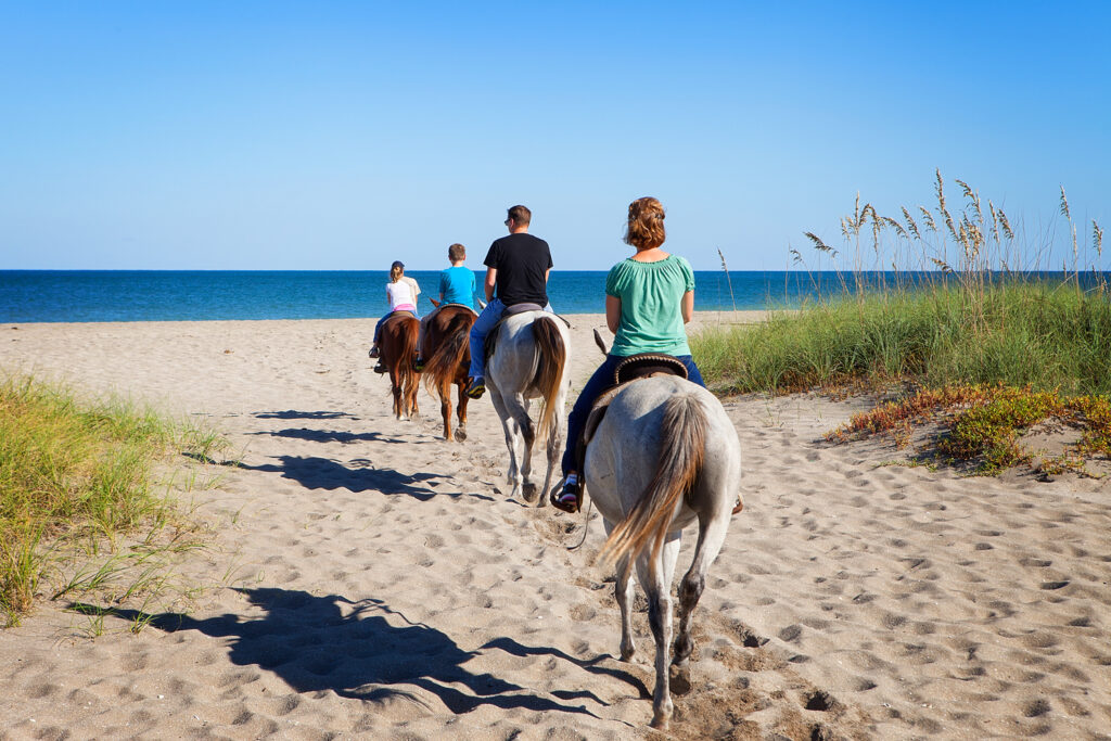 beach and horses