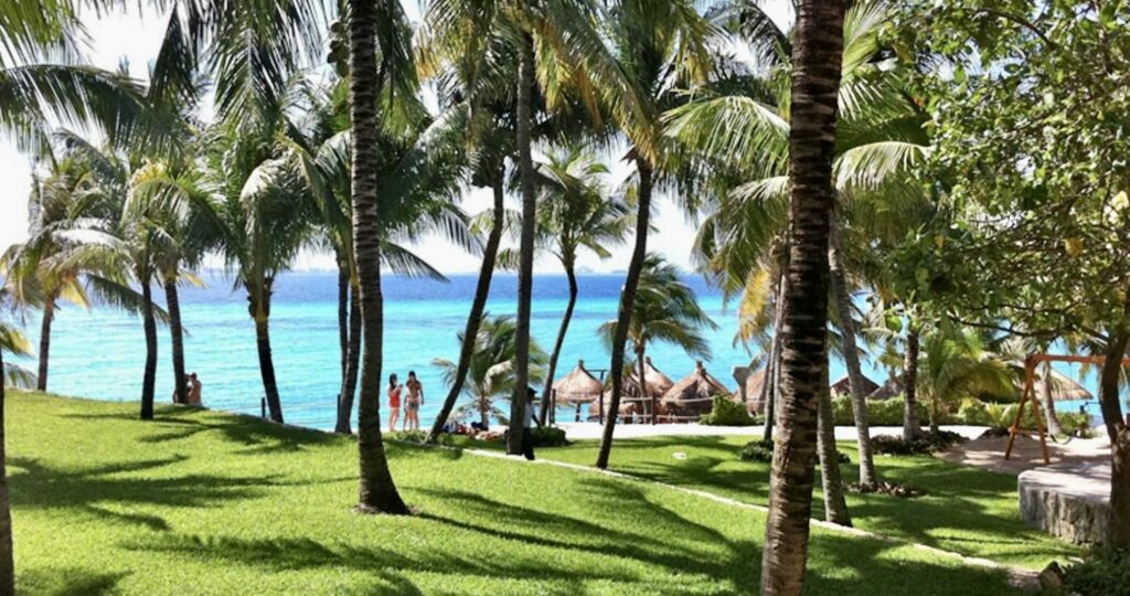 palms at Garrafon Park