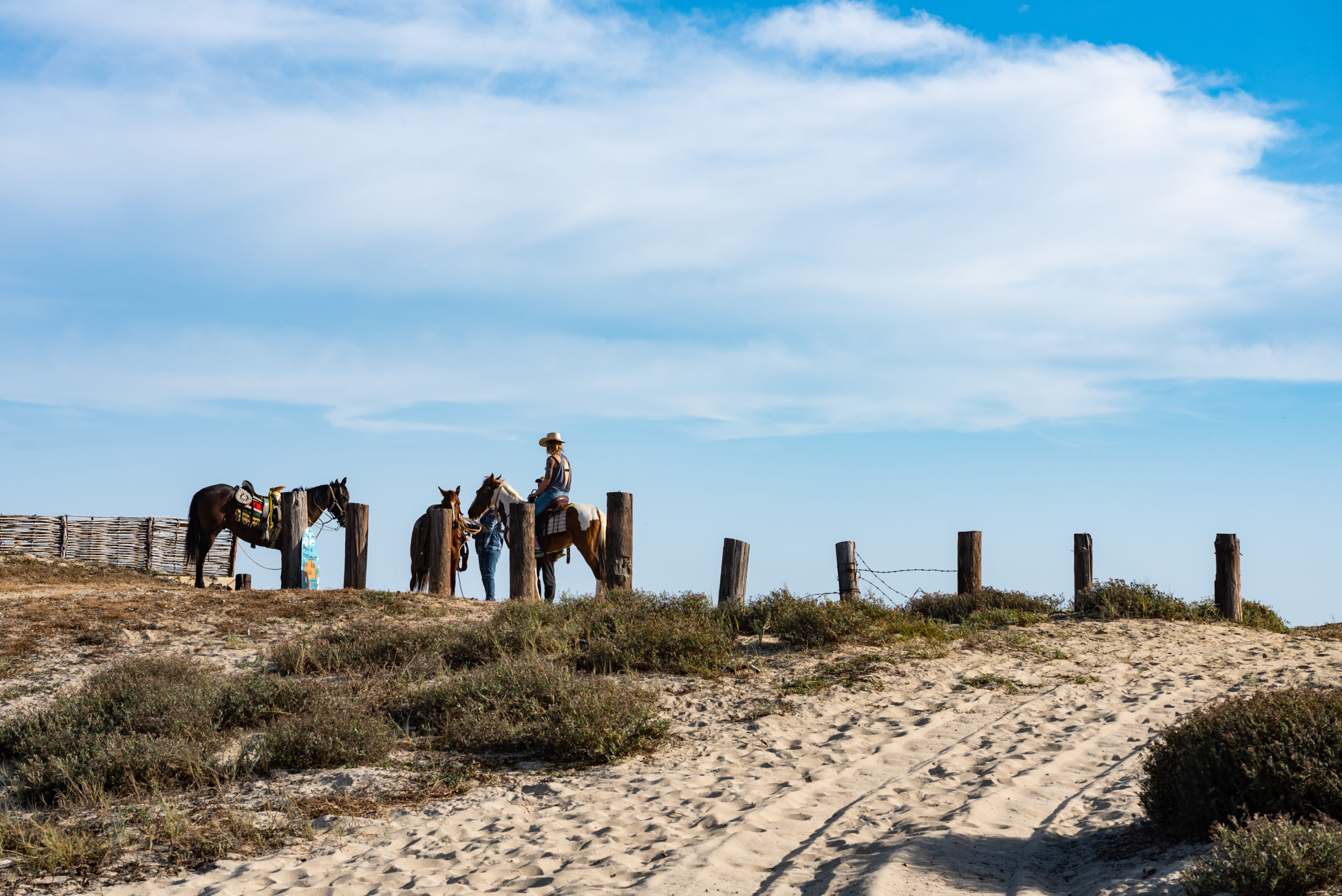 Quads Offroad. Todos Santos