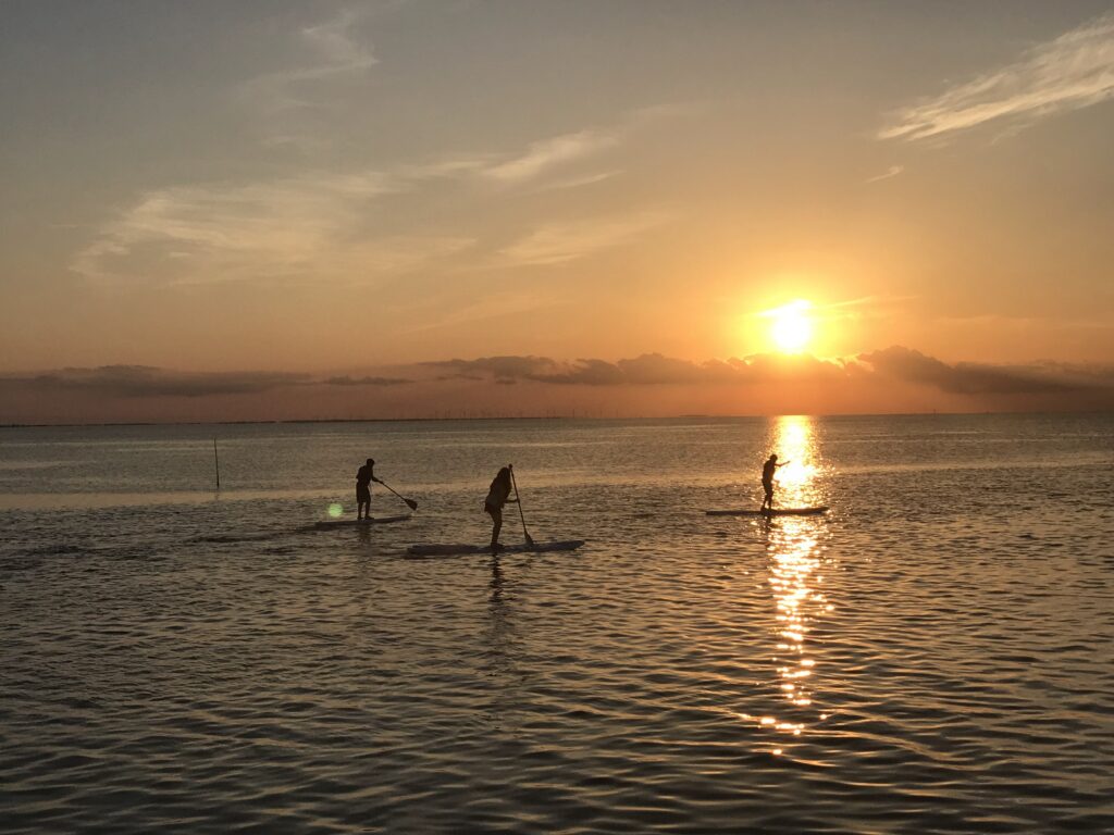 paddleboarding at sunset