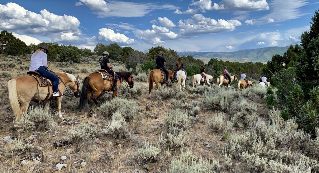 KB Horses at Red Ledges trail ride