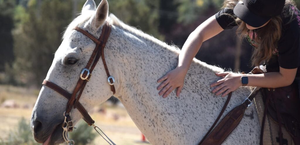 horsemanship lesson