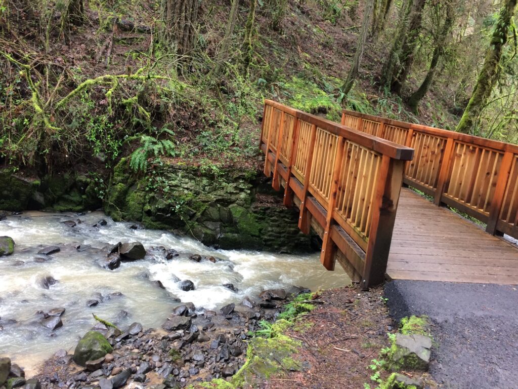 Forest Park stream bridge