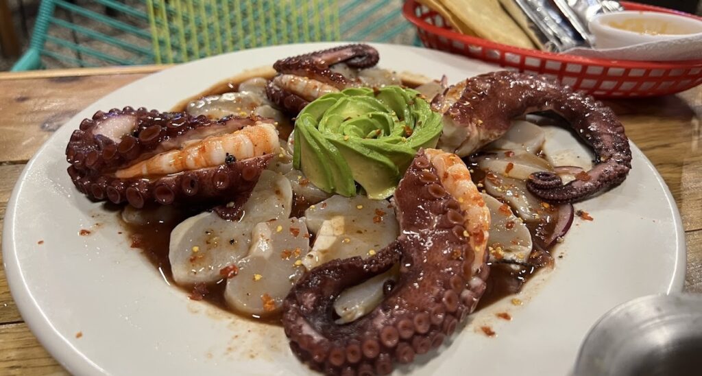 El Tiburón octopus