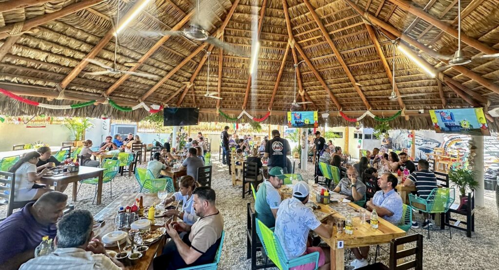 El Tiburón interior