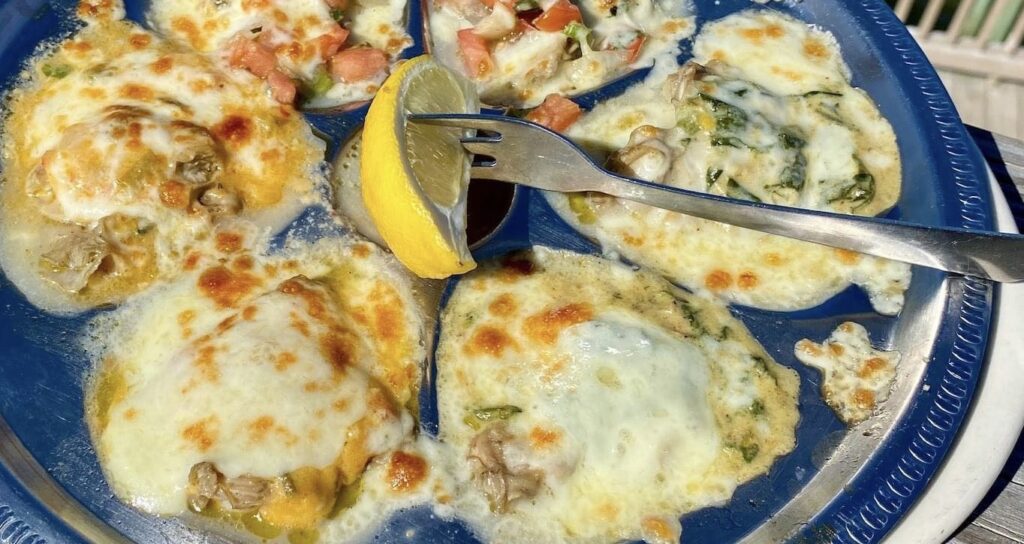 oysters at Stingaree Restaurant & Marina