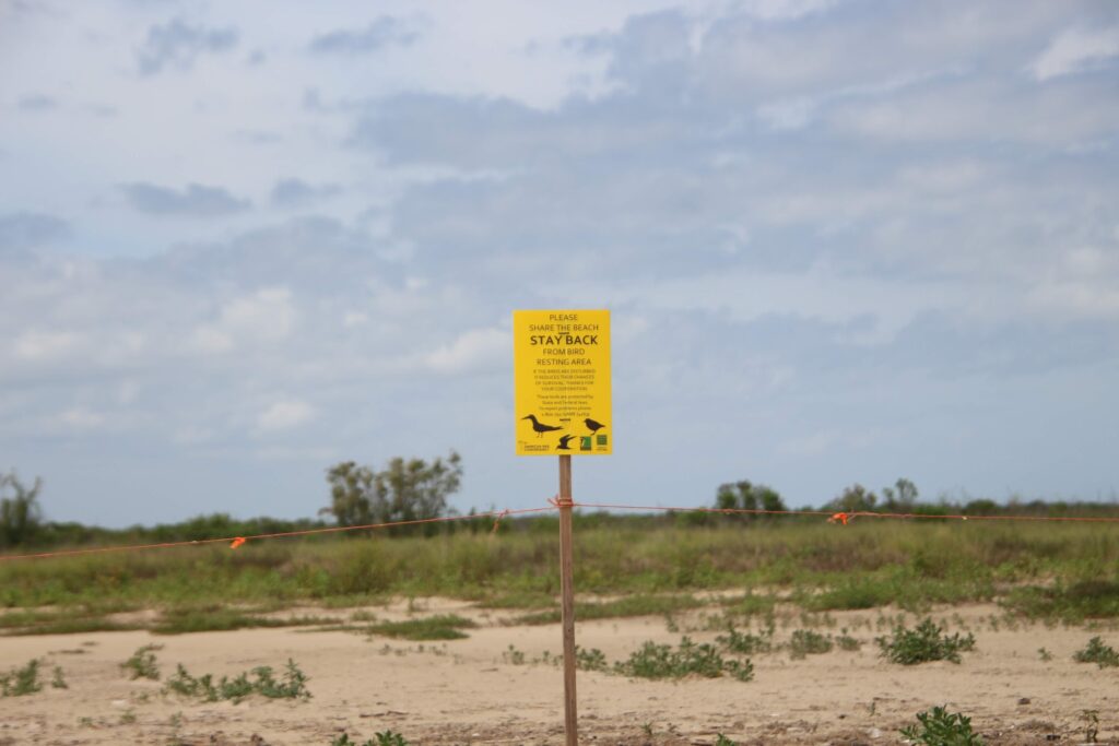 Bolivar Flats Shorebird Sanctuary Bolivar Peninsula