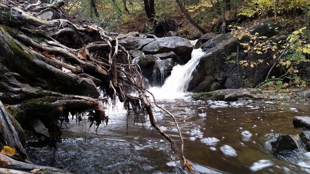 gushing creek at Magney-Snively Natural Area