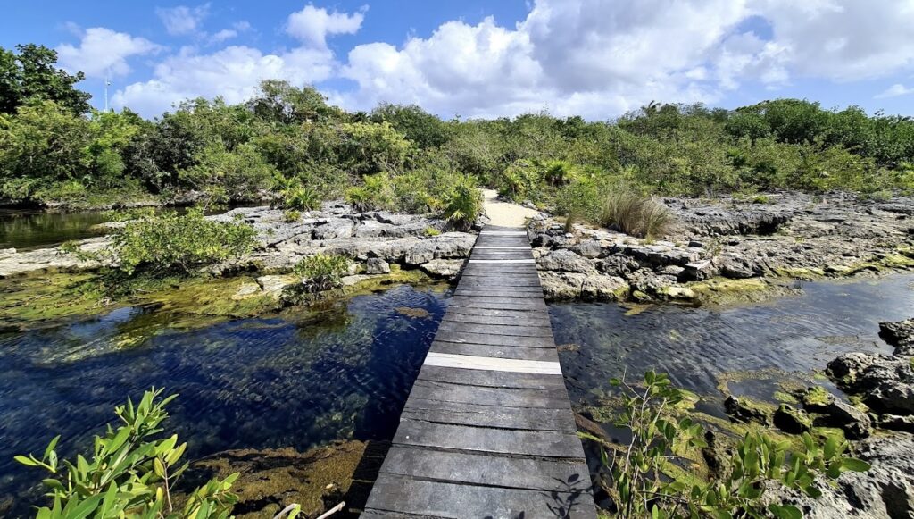 pathway at Yal-Ku Cenote