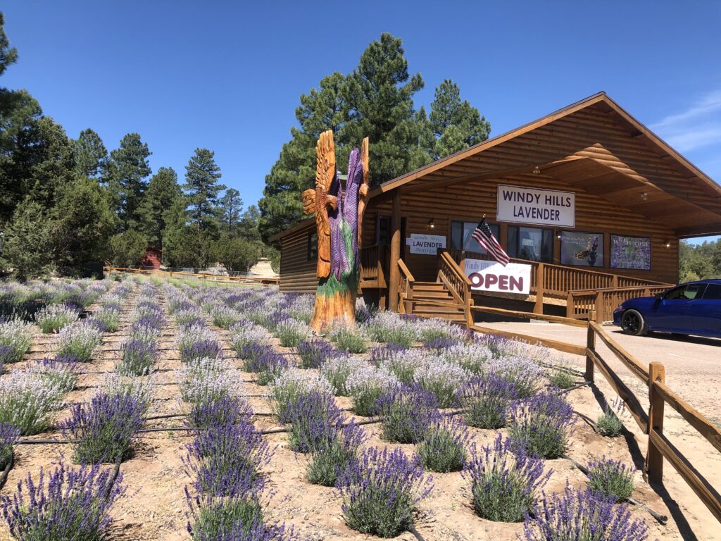 Windy Hills Lavender Farm Rim Lakes