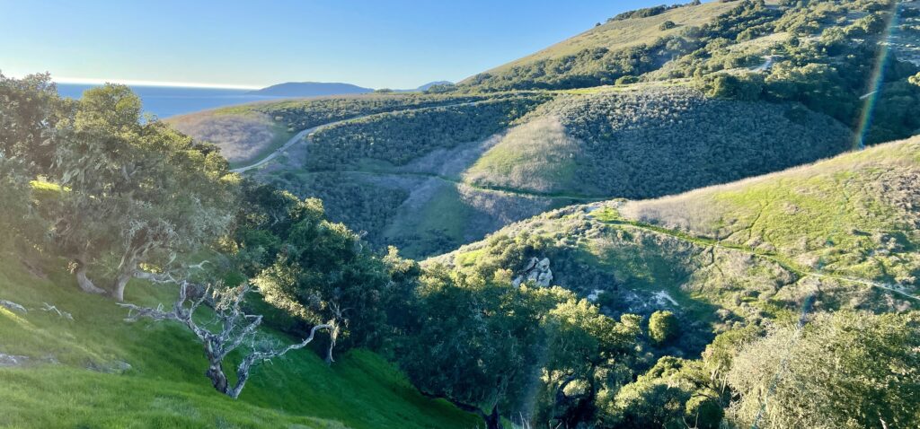 Pismo Preserve