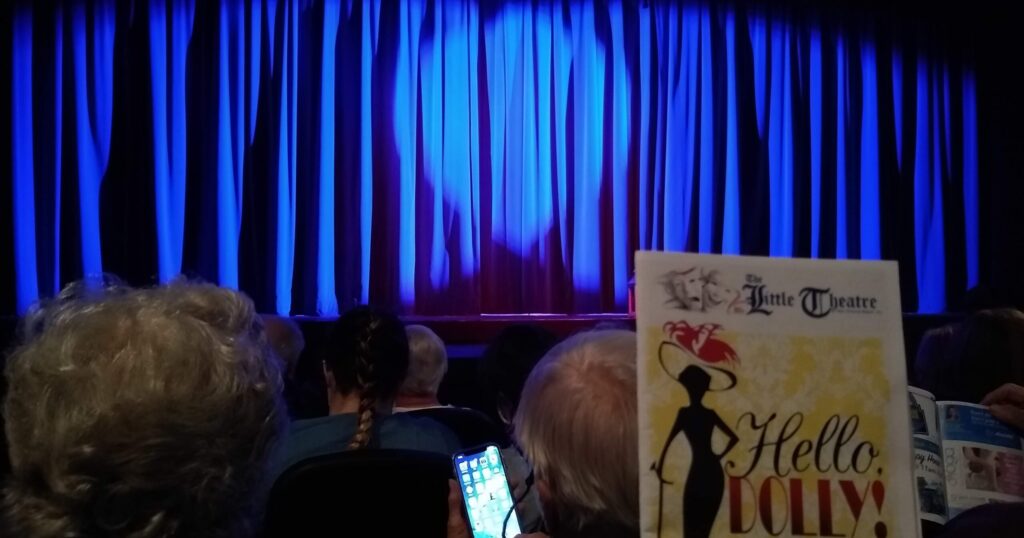 audience at theater