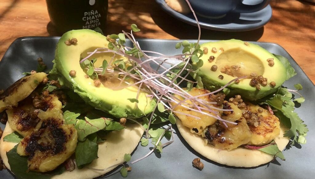 avocado toast