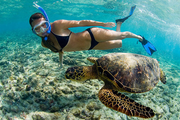 Person with snorkel mask & fins with sea turtle underwater| Best Activities in Kona