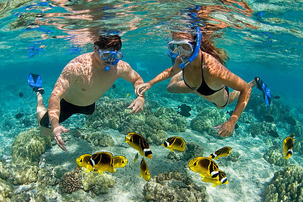 Couple with snorkel mask & fins swimming with fish| Activities in Kona