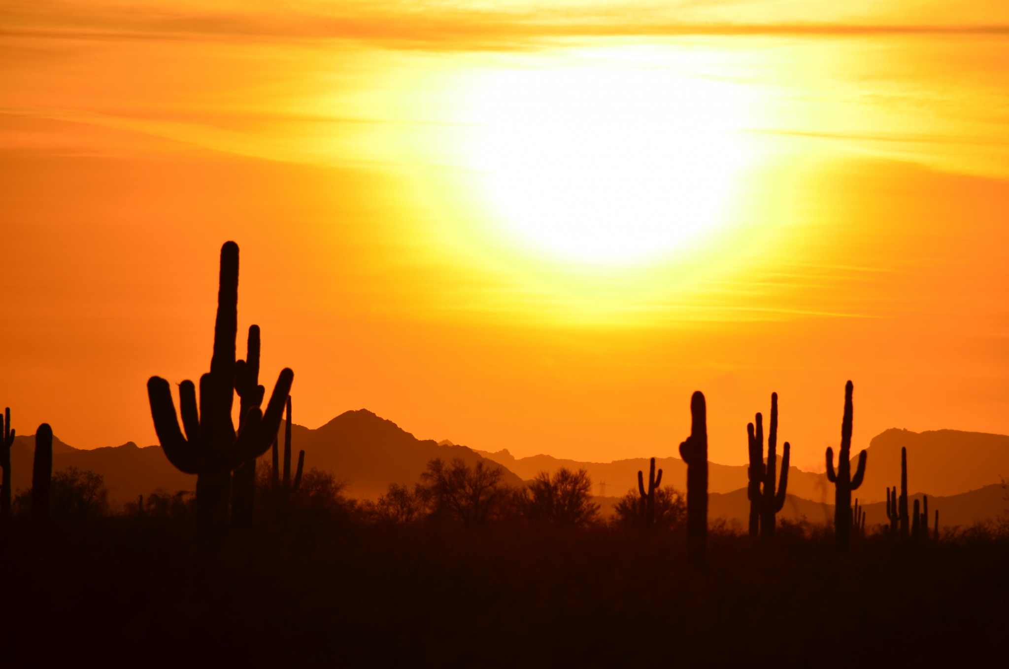“Hidden Gems” & Unique Things to Do in Scottsdale Arizona